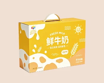 Handle Flip‑Top Box