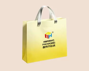 Hand‑carry paper bag