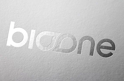 Silver foil stamping--xinronho Packaging